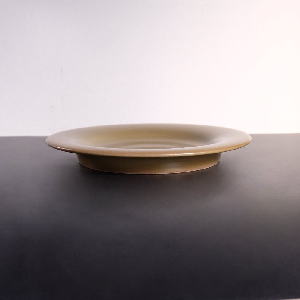 Muted Plate